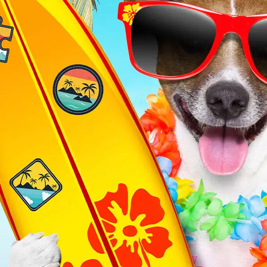 Puzzle - Dog Days of Summer