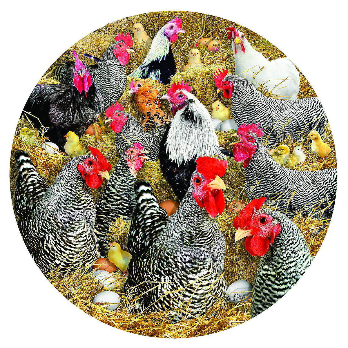 Games | Puzzle- Chickens and Chicks 1000 pc