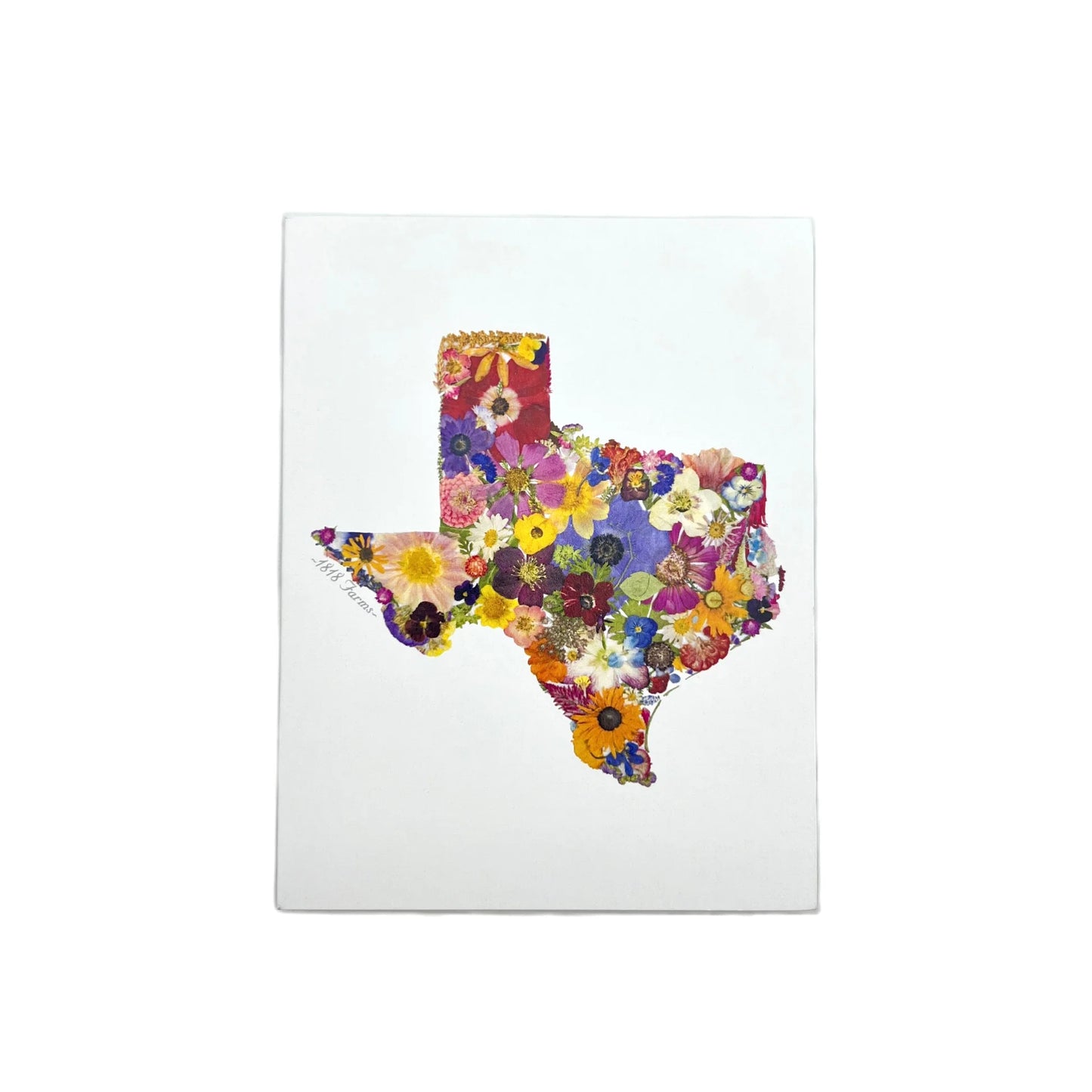 Where I Bloom Texas Notecard