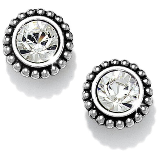 Earrings - Brighton Twinkle Medium Post