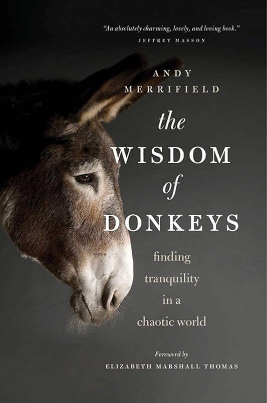 The Wisdom Of Donkeys