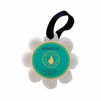 Spongelle Soap Sponge