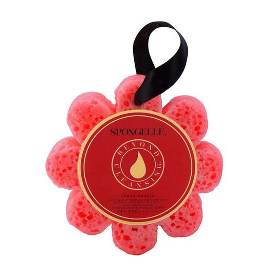 Spongelle | Soap Sponge
